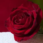 Antichi Colori