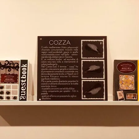 Antichi Colori 住宿加早餐酒店 奇尼斯
