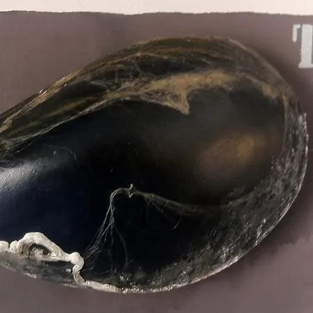 Bed & Breakfast Antichi Colori Cinisi